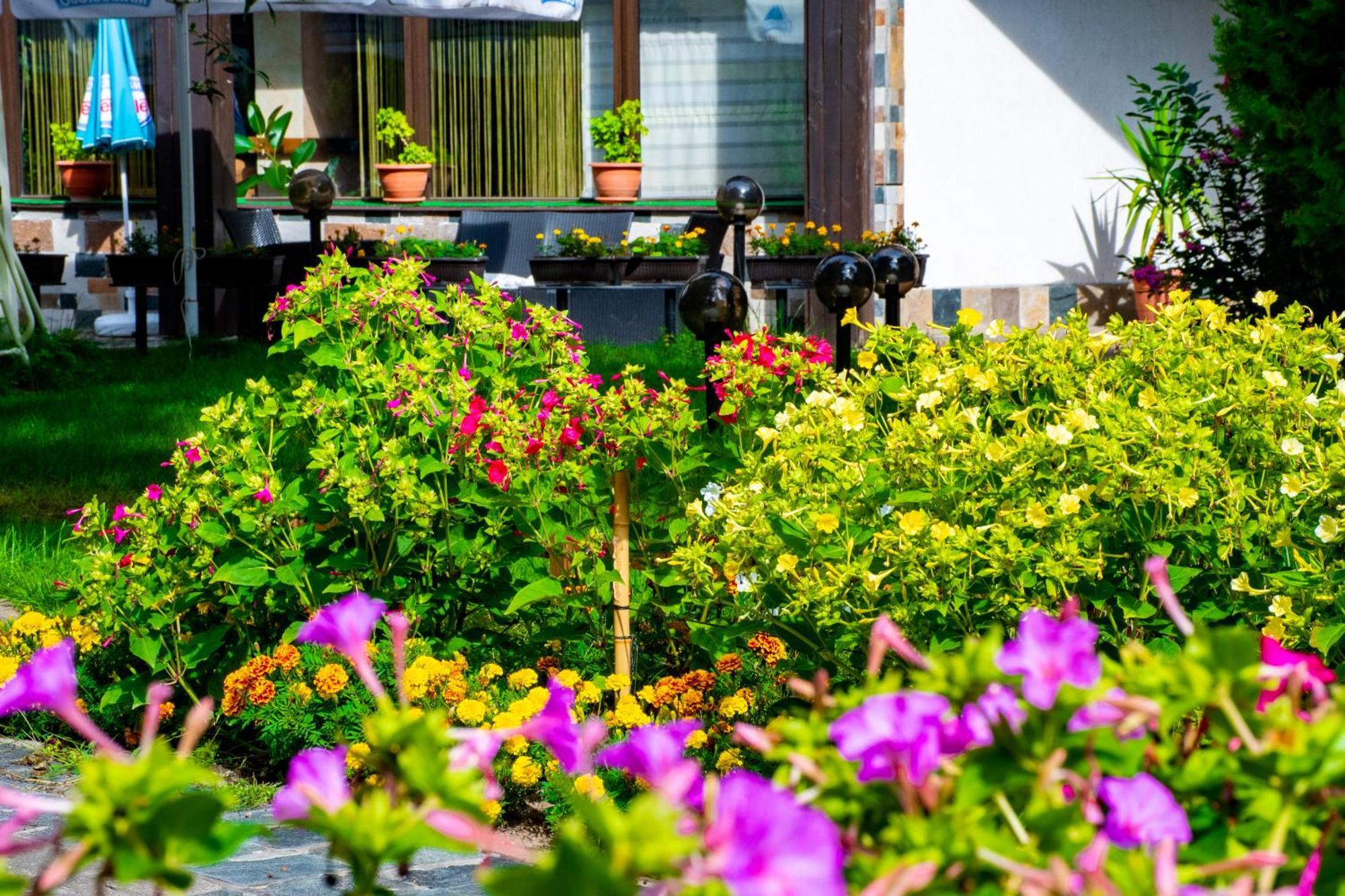 Hotel Orphey Bansko Exterior photo
